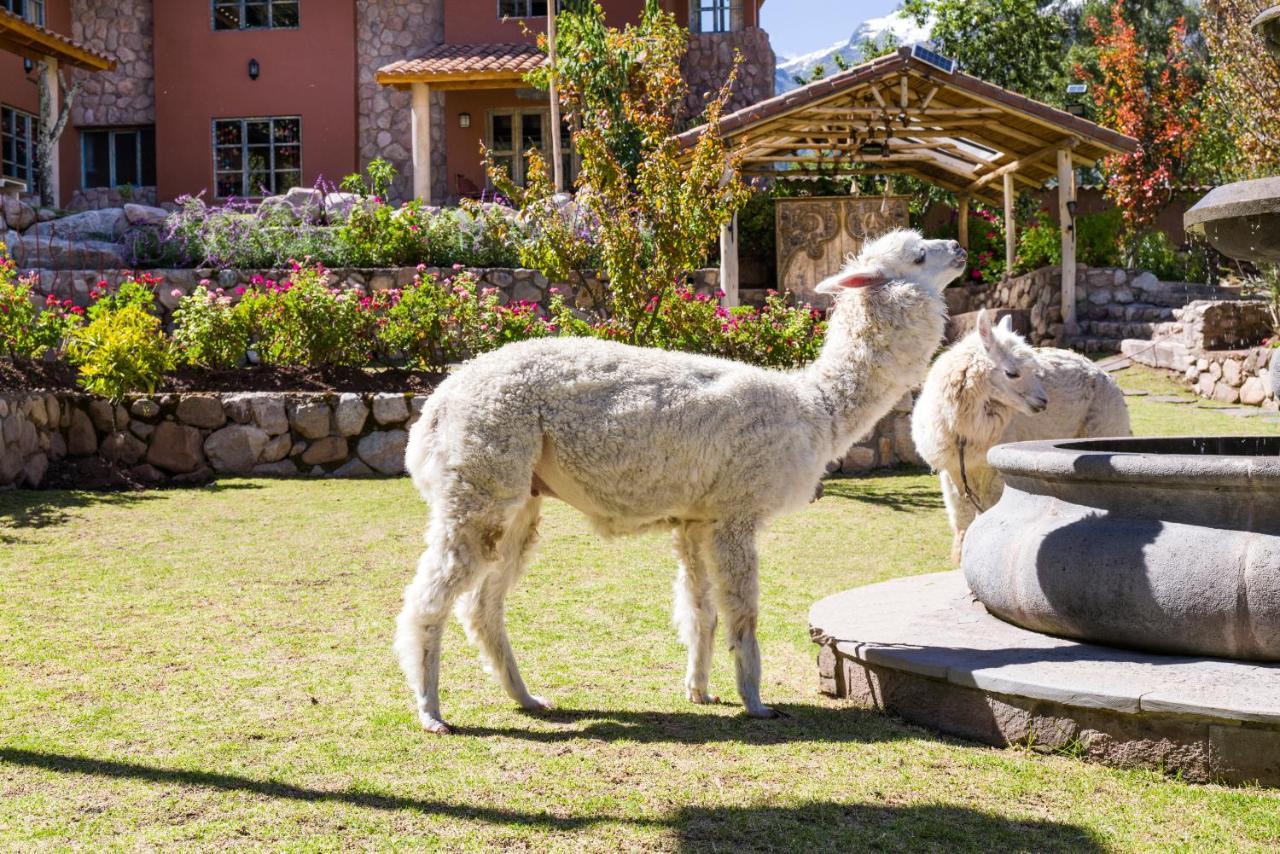 Villa Apu Chicon Urubamba Ngoại thất bức ảnh