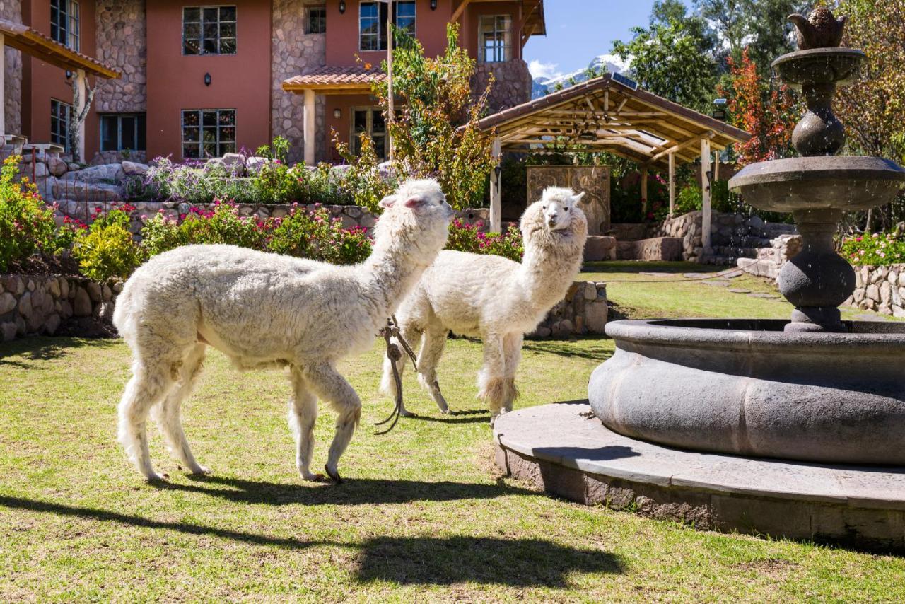 Villa Apu Chicon Urubamba Ngoại thất bức ảnh
