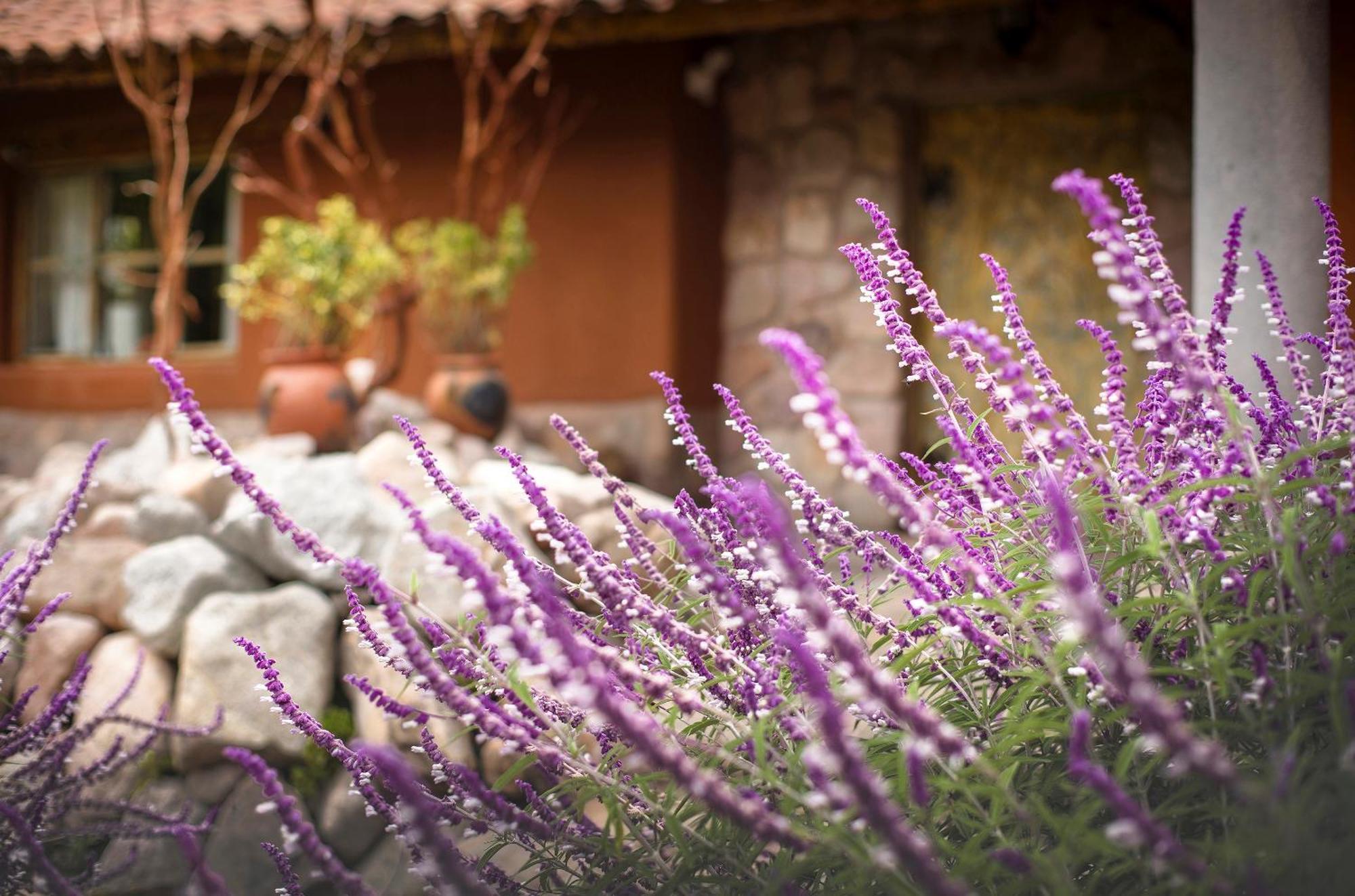 Villa Apu Chicon Urubamba Ngoại thất bức ảnh