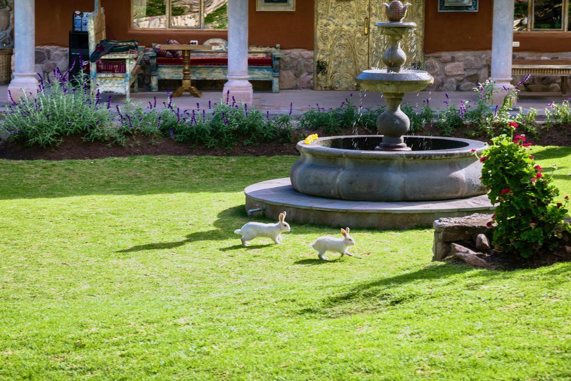 Villa Apu Chicon Urubamba Ngoại thất bức ảnh