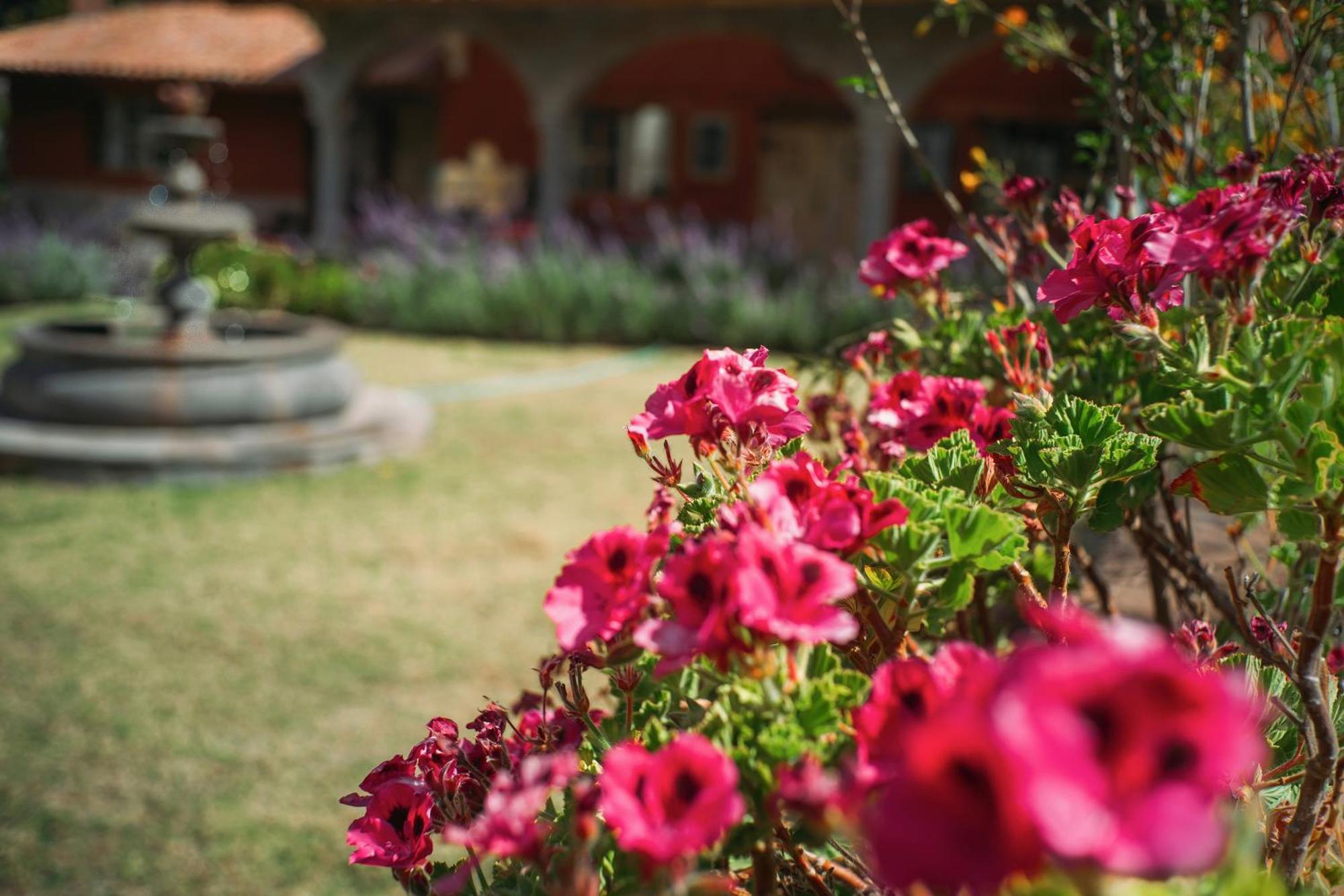 Villa Apu Chicon Urubamba Ngoại thất bức ảnh